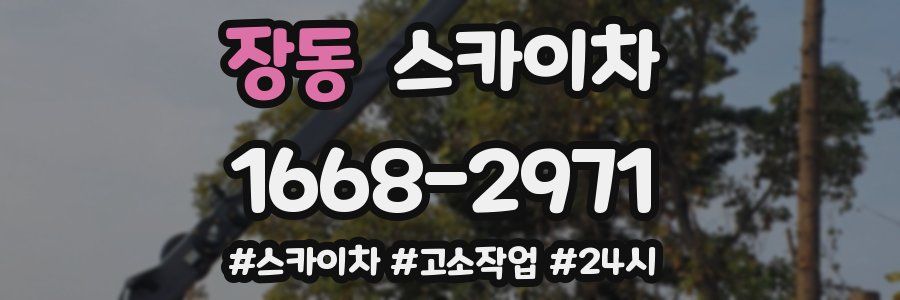 장동 스카이차