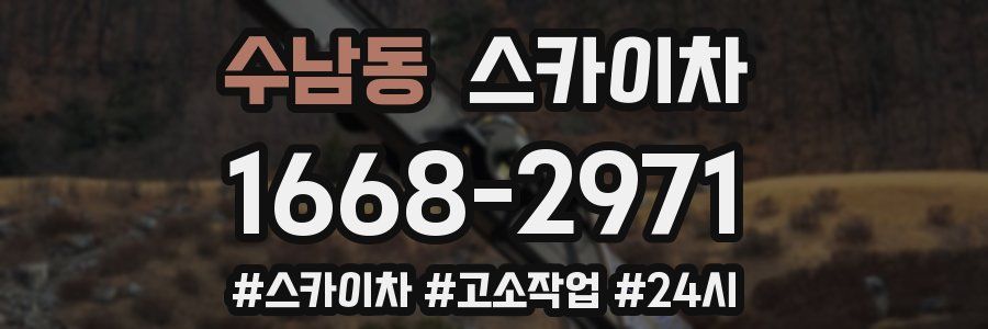 수남동 스카이차