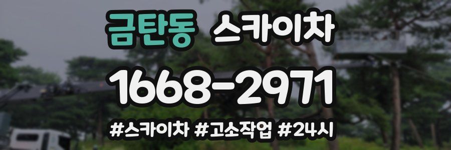 금탄동 스카이차