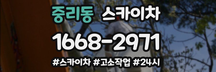 중리동 스카이차