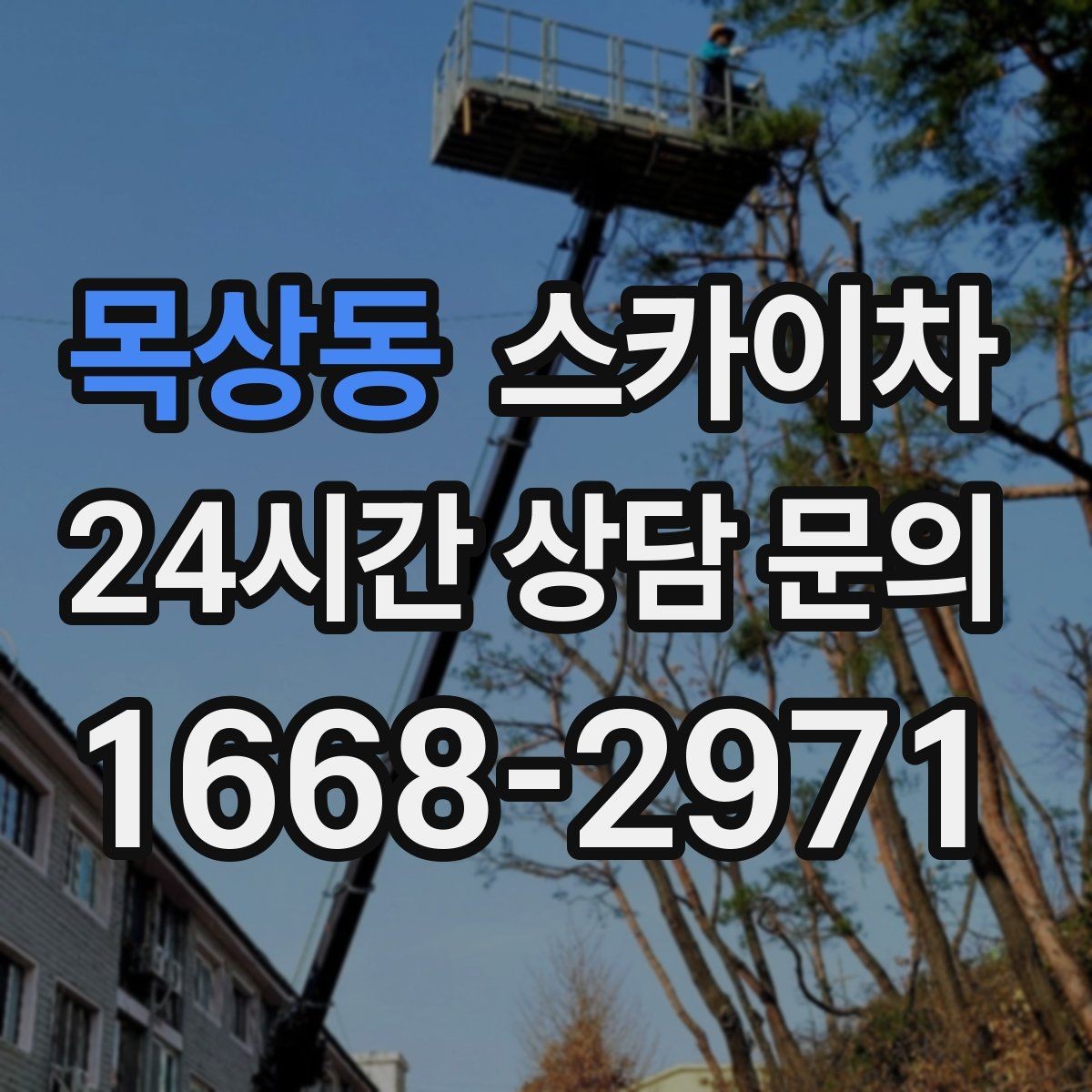 목상동 스카이차 통신선 정리로 외관 깔끔하게 만들기