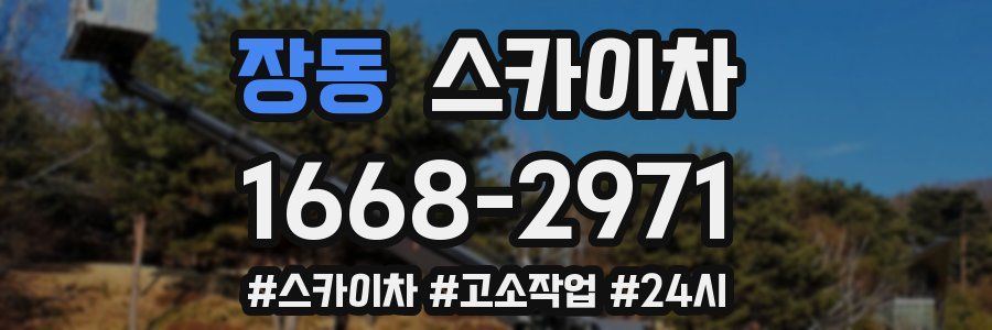 장동 스카이차