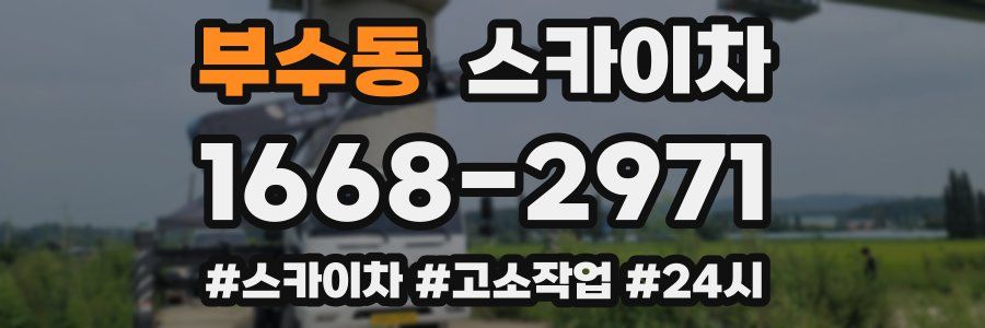 부수동 스카이차