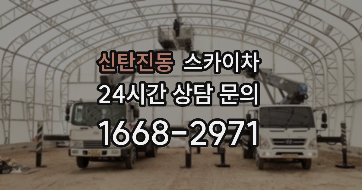 신탄진동 스카이차