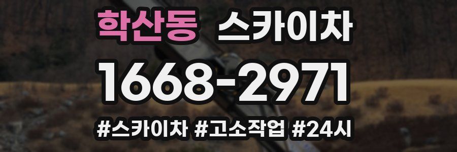 학산동 스카이차