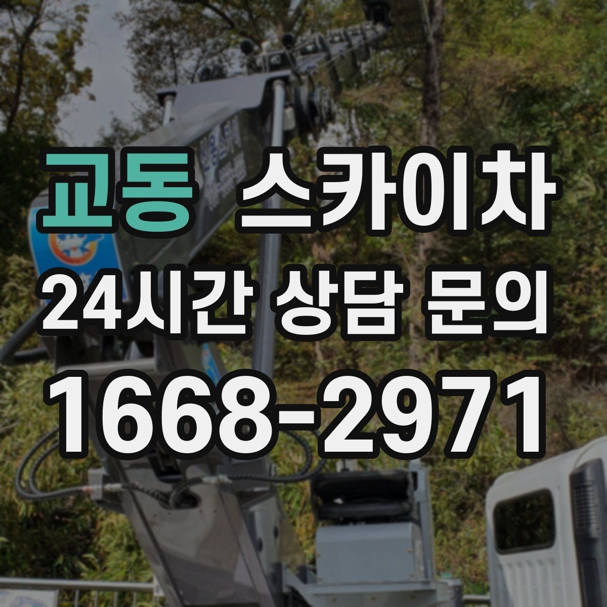 교동 스카이차 간판 전원선 정리로 누전 위험 줄이기