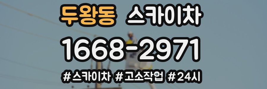 두왕동 스카이차