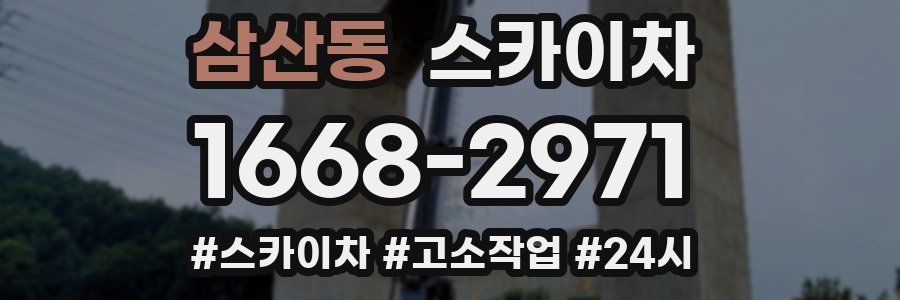 삼산동 스카이차