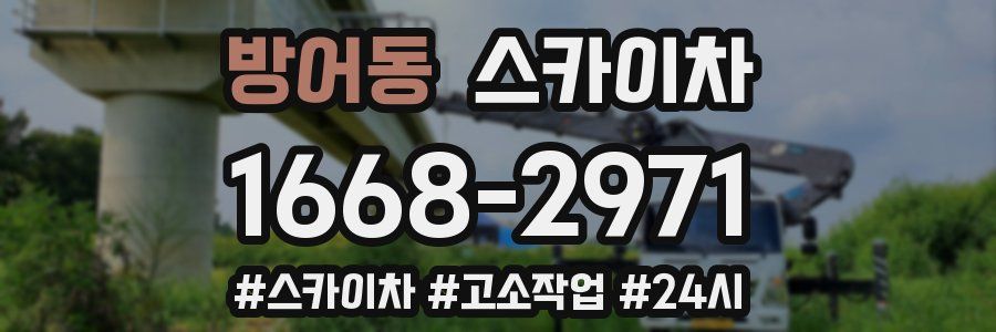 방어동 스카이차