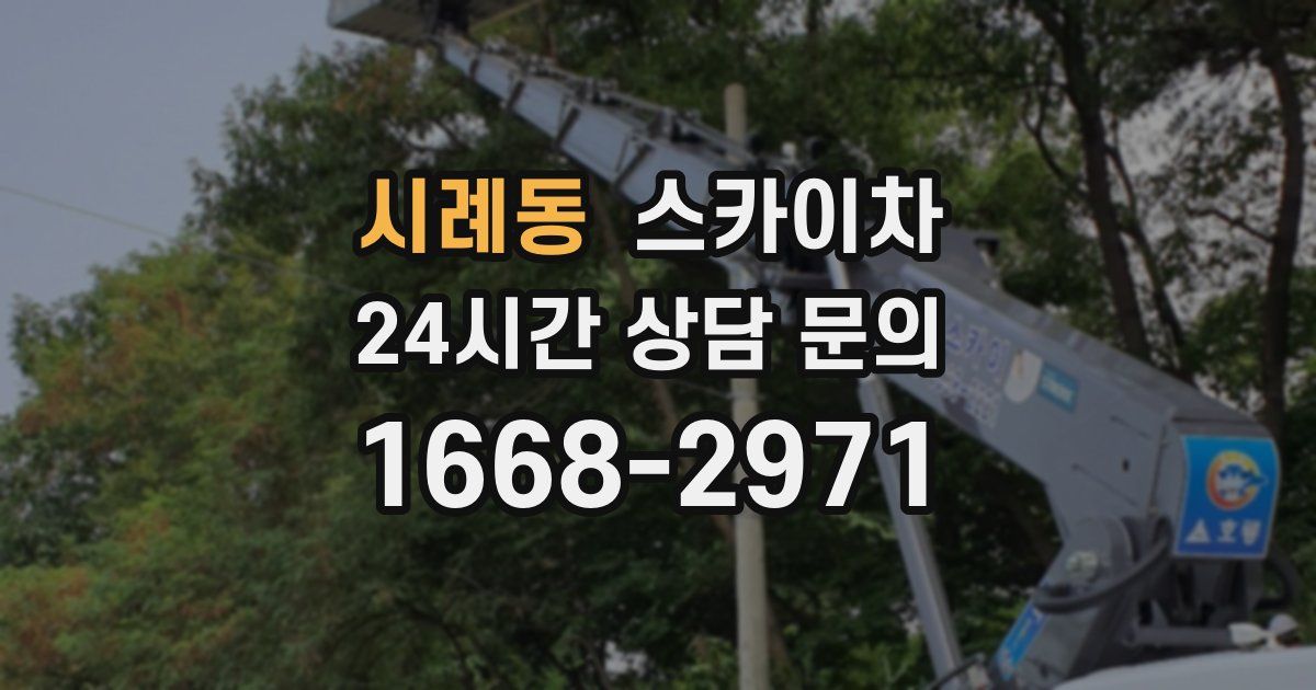 시례동 스카이차