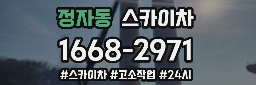 정자동 스카이차