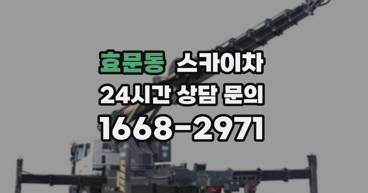 효문동 스카이차