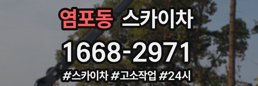 염포동 스카이차