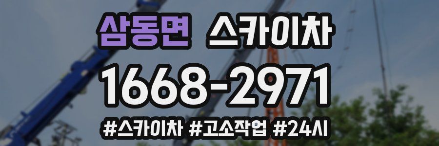 삼동면 스카이차