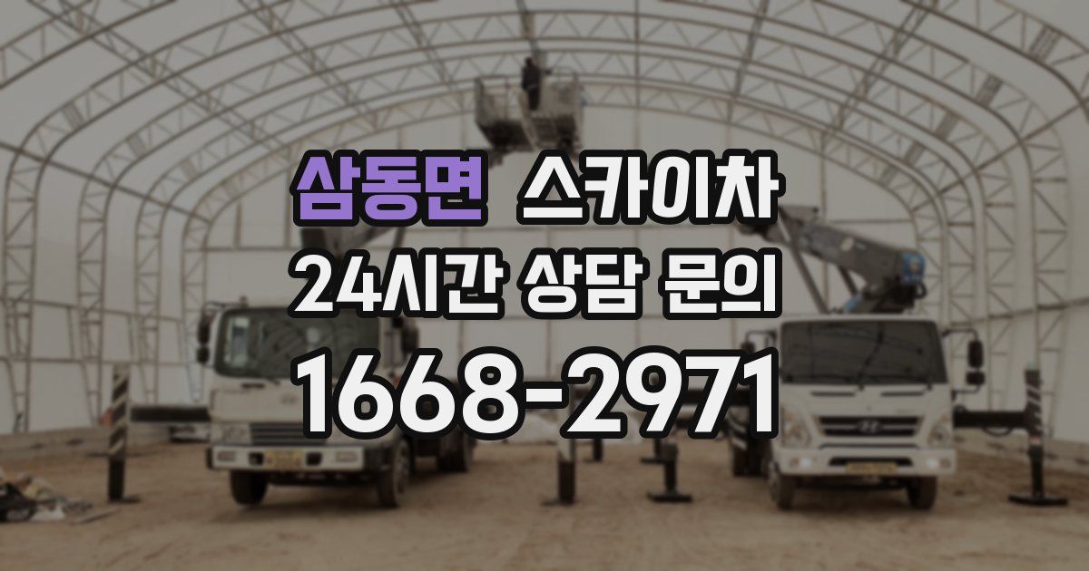 삼동면 스카이차