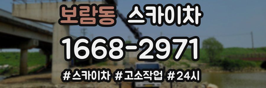 보람동 스카이차