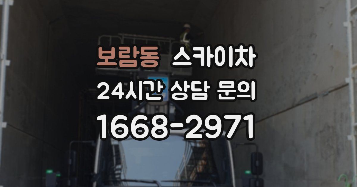 보람동 스카이차