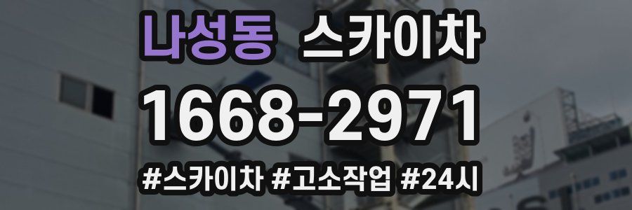 나성동 스카이차