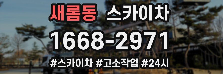 새롬동 스카이차