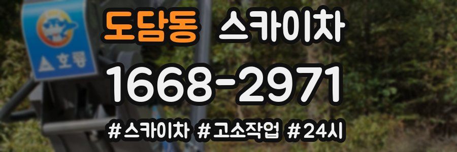 도담동 스카이차