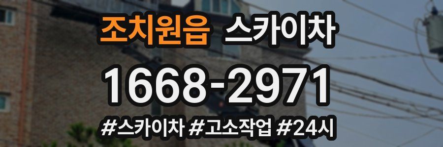 조치원읍 스카이차