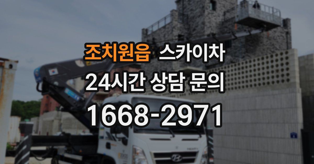 조치원읍 스카이차