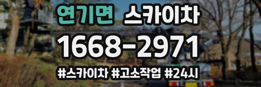 연기면 스카이차