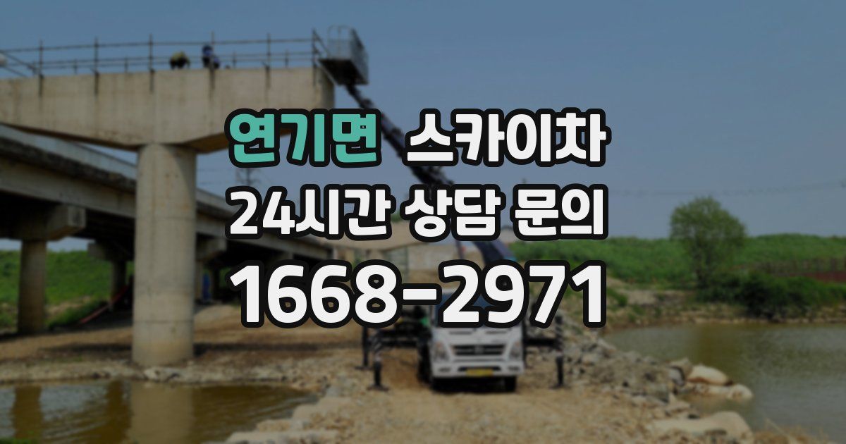 연기면 스카이차