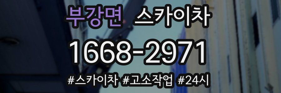 부강면 스카이차