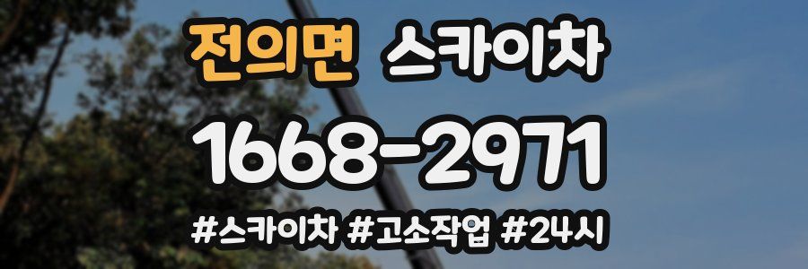 전의면 스카이차