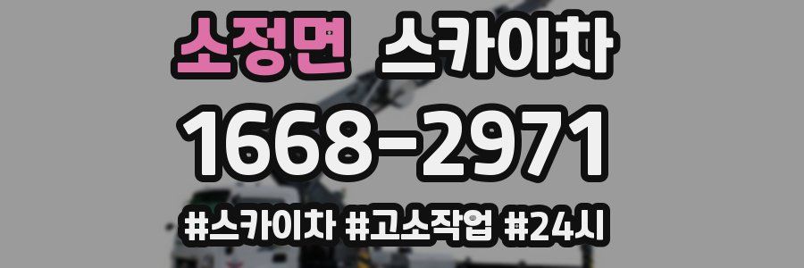 소정면 스카이차