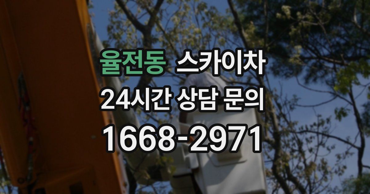 율전동 스카이차