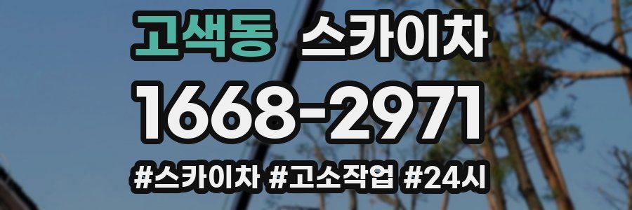 고색동 스카이차