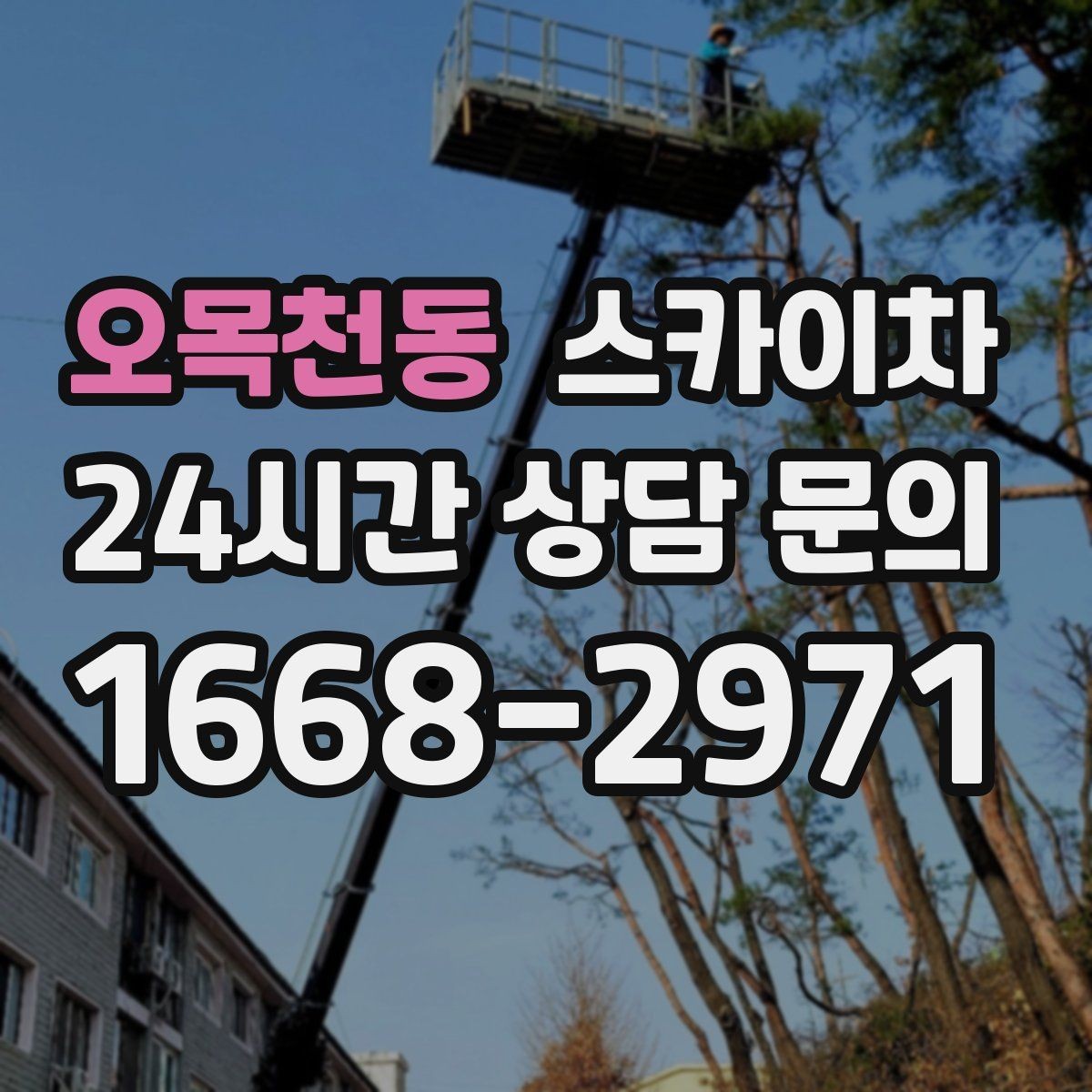 오목천동 스카이차 외벽 조류 배설물 청소 작업 진행
