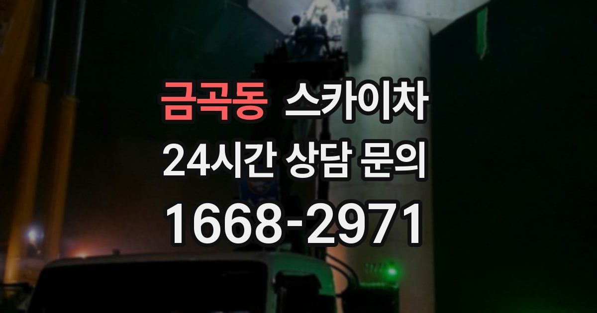 금곡동 스카이차