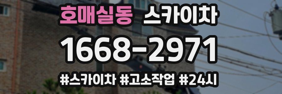 호매실동 스카이차