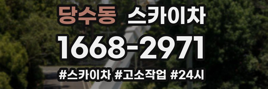 당수동 스카이차