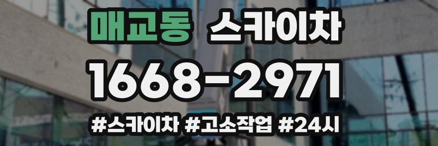 매교동 스카이차