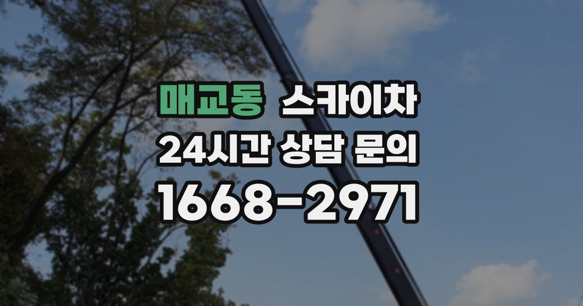 매교동 스카이차