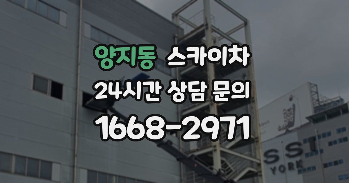 양지동 스카이차