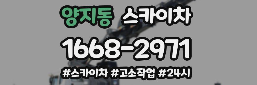 양지동 스카이차