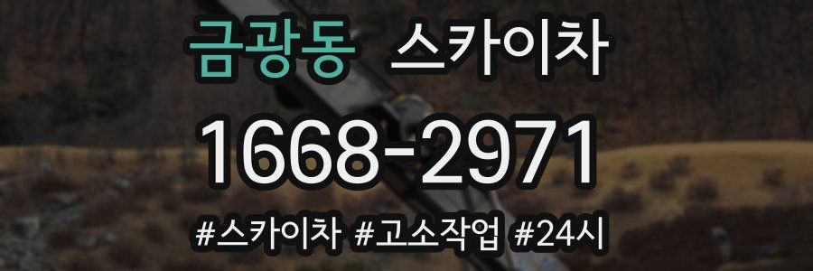 금광동 스카이차