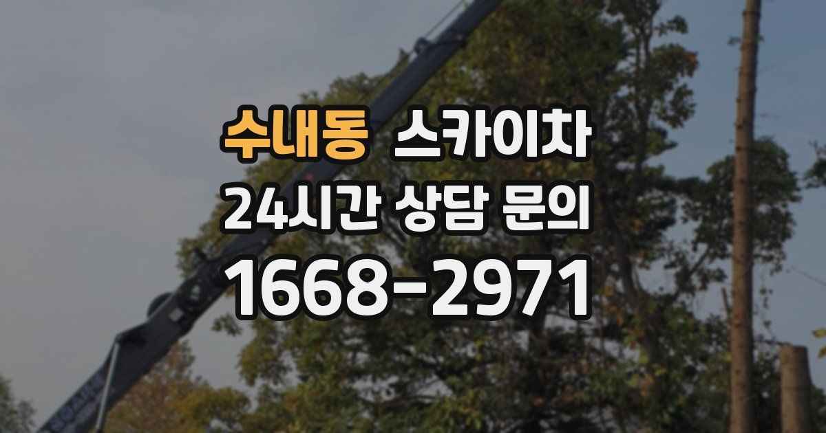 수내동 스카이차