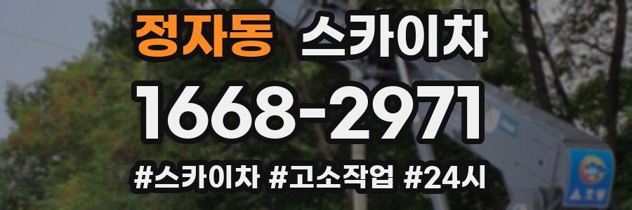 정자동 스카이차