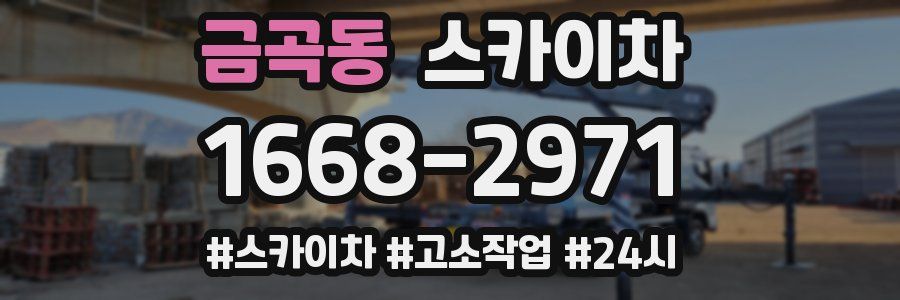 금곡동 스카이차