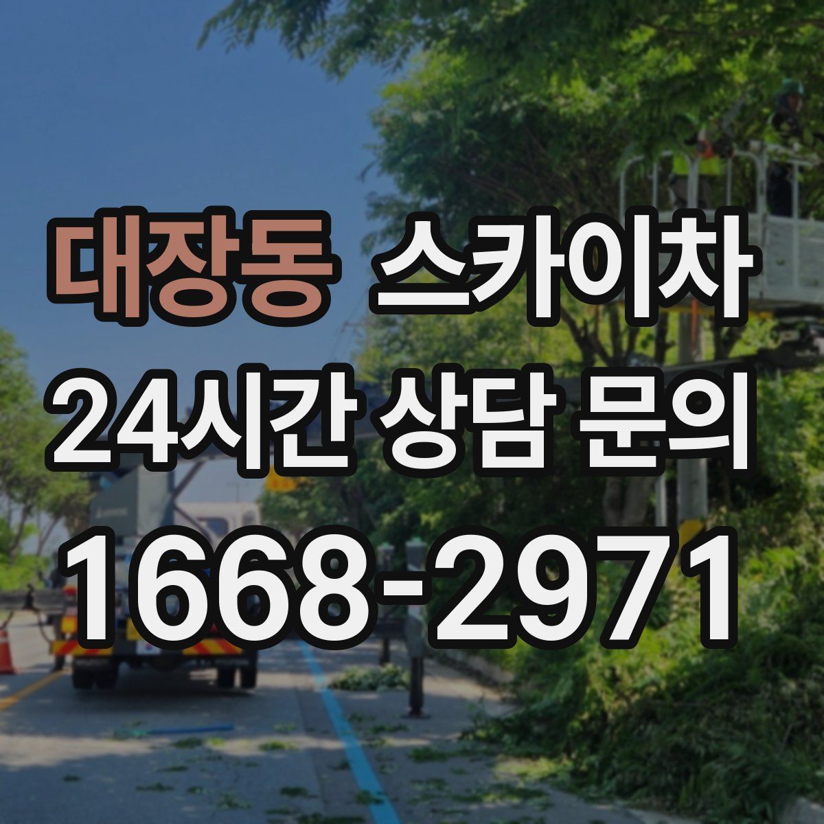 대장동 스카이차