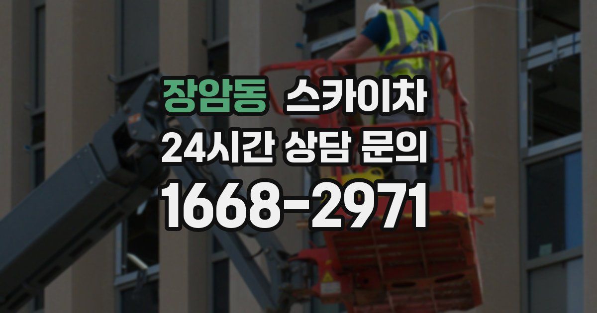 장암동 스카이차