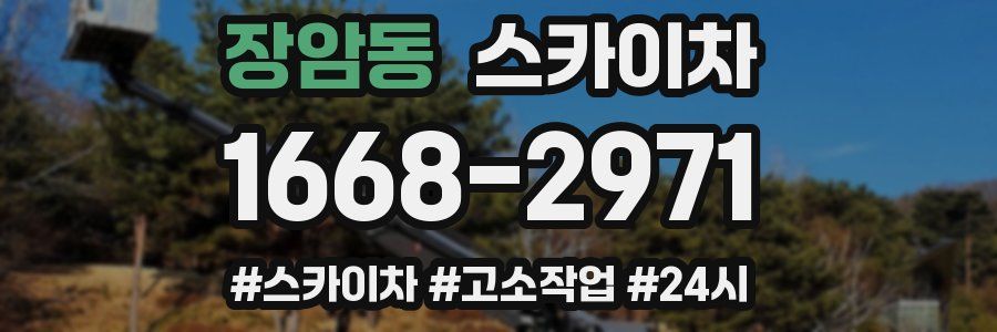 장암동 스카이차