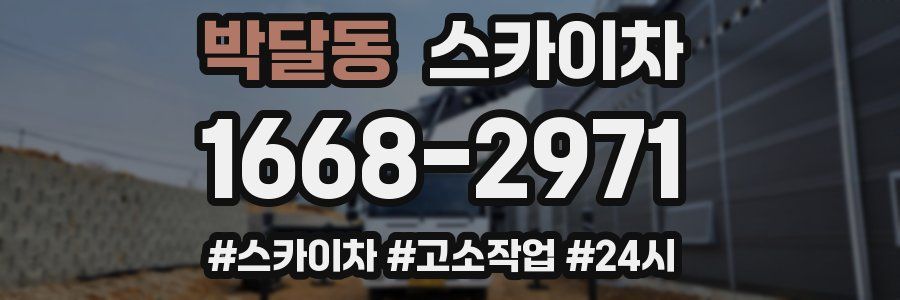 박달동 스카이차