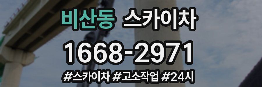 비산동 스카이차